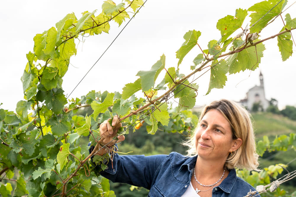 Tenuta Mazzolino Uva