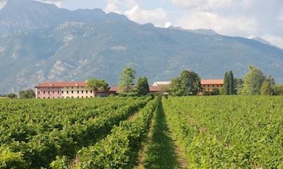 Prosecco, Mionetto acquisisce Tenuta Montereale