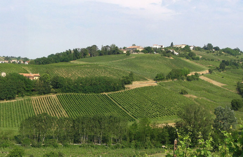 Tenutamazzolino