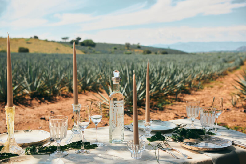 Tequila 0327 Scaled E1651848283229