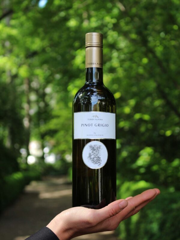 Terra Alpina Pinot Grigio E1638277375339