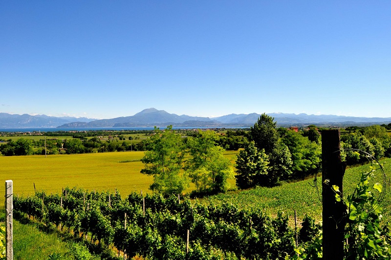 Territorio