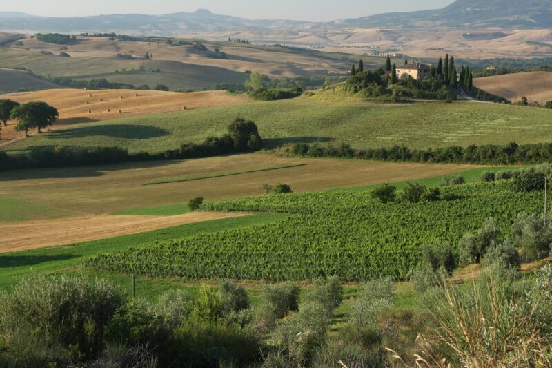 Turismo Orcia Doc E1650637649182