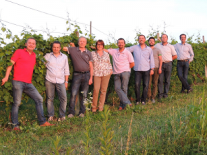 Moscato Canelli - Denominazione in forte crescita: 100 ettari e 30 aziende vitivinicole