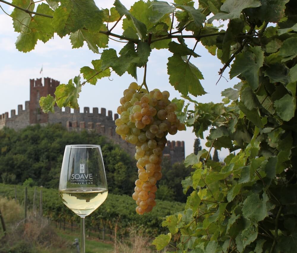 Soave: tregua parziale alla siccità e danni limitati
