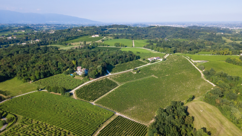 Vigneti Perlage 2 E1632391234867