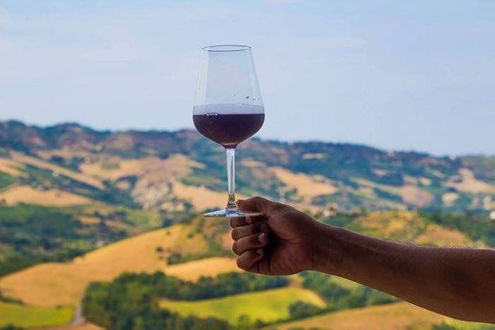 Vini Piceni Mangialonga 2019