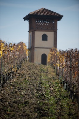 Vini Figli Luigi Oddero
