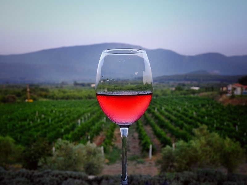 Vino E Vigneto