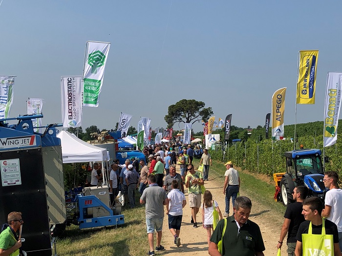 Viteincampo2019 4