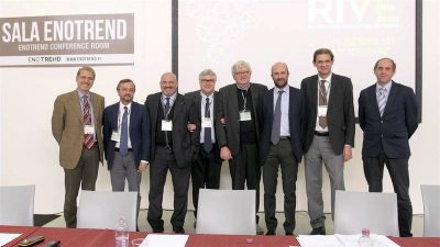 Viticoltura 4 0 La Ricerca Del Triveneto Unita Per Una Viticoltura Piu Sostenibile Popup E1514148204827