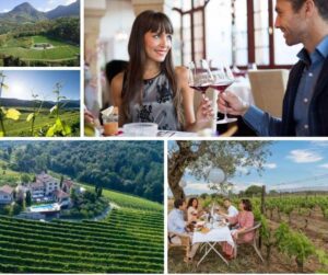 wine-resort