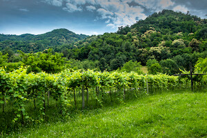 paesaggio