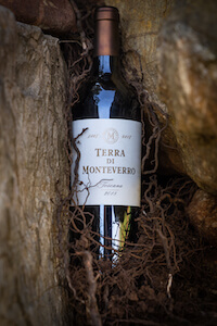 terra-di-monteverro
