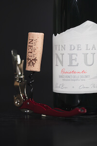 vin-de-la-neu-bottiglia