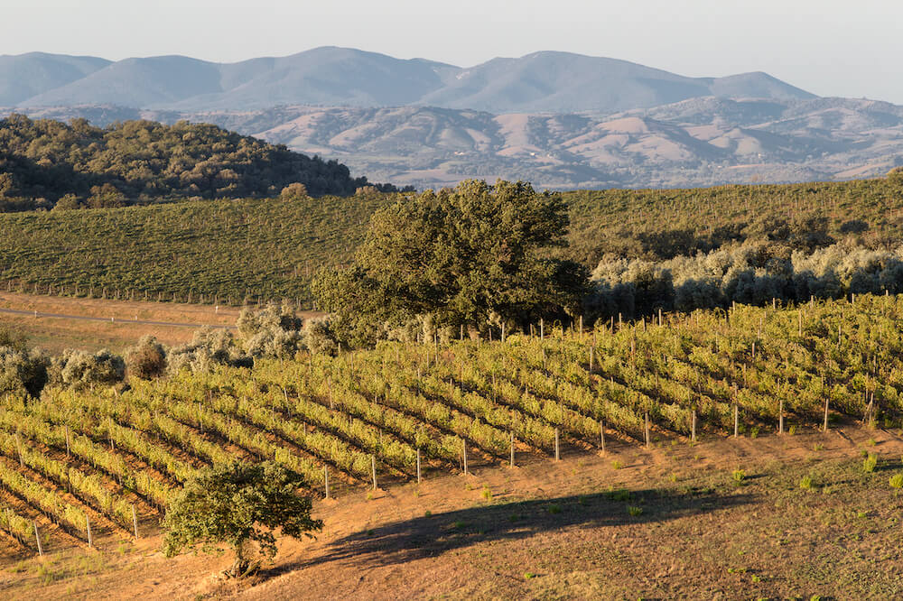 consorzio-montecucco