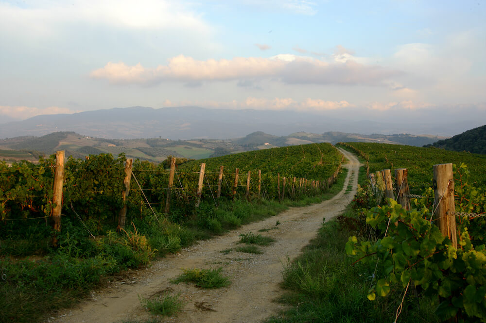 Doc e Docg Montecucco: Nel 2022 è la denominazione più performante della toscana