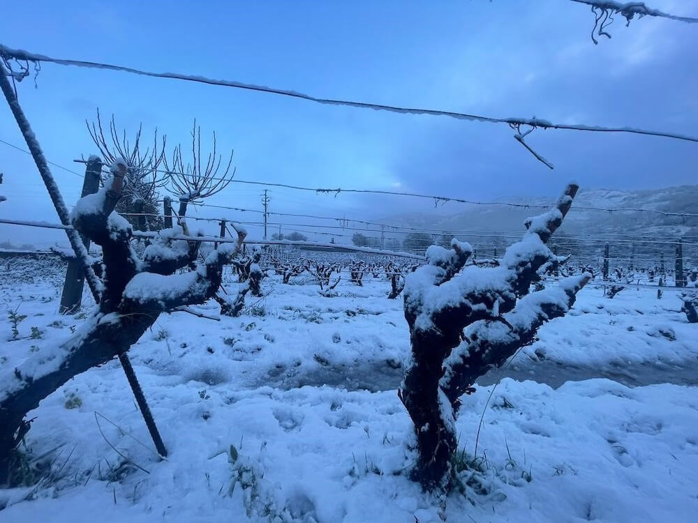 neve-sardegna