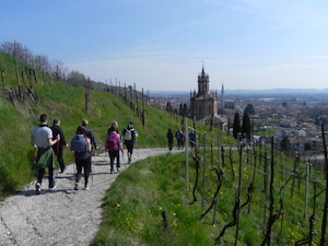 col-san-martino