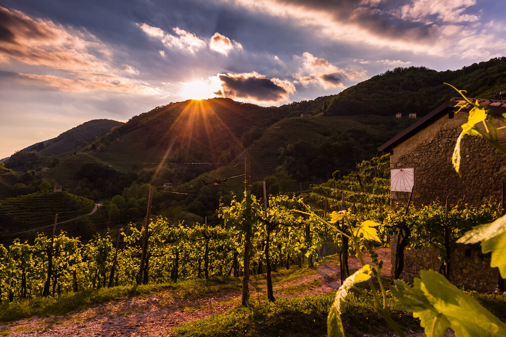 primavera-prosecco