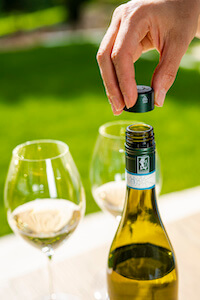 vino-tappo-a-vite