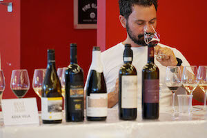 bestwinestars