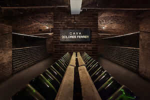 freixenet-cava-dolores-ferrer