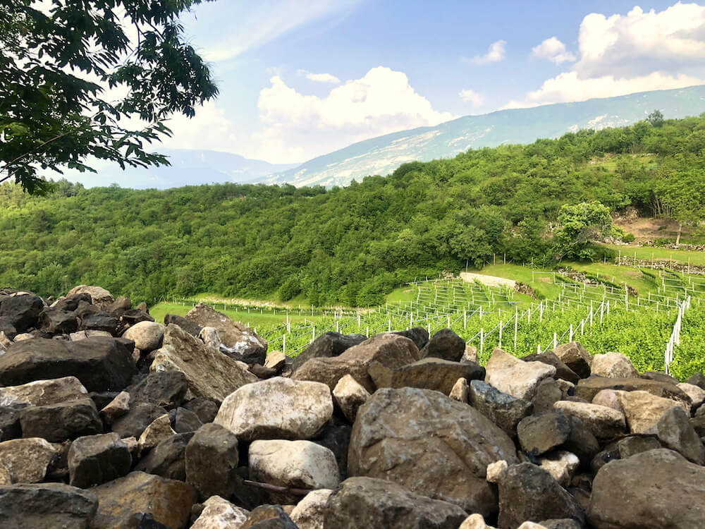 Trento Doc Clé Riserva 2016 dosaggio zero, l'anima delle alpi nella Limited Edition firmata Albino Armani