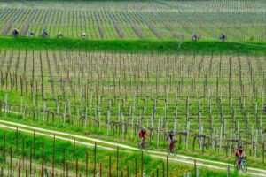 eroica-prosecco-hills-del-2022