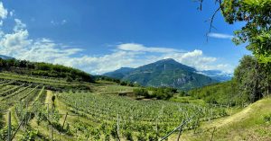 albino-armani-trentino