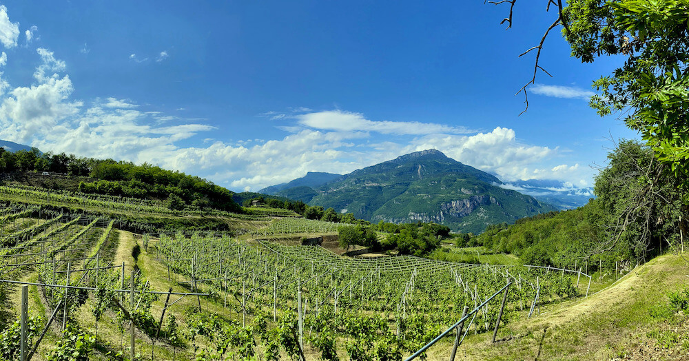 albino-armani-trentino