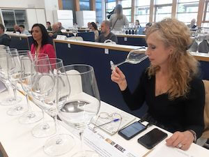 concorso-vini-territorio