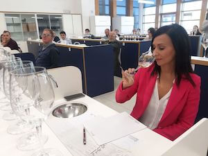 concorso-vini-territorio