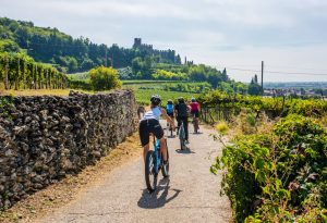 consorzio-del-soave