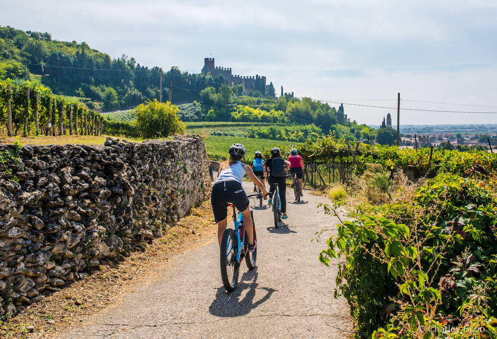 consorzio-del-soave