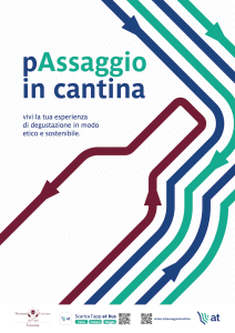 movimento-passaggio-in-cantina