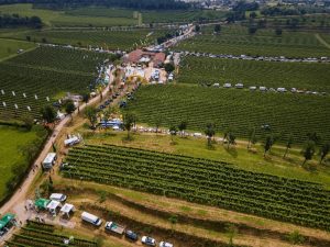 enovitis-in-campo-2023