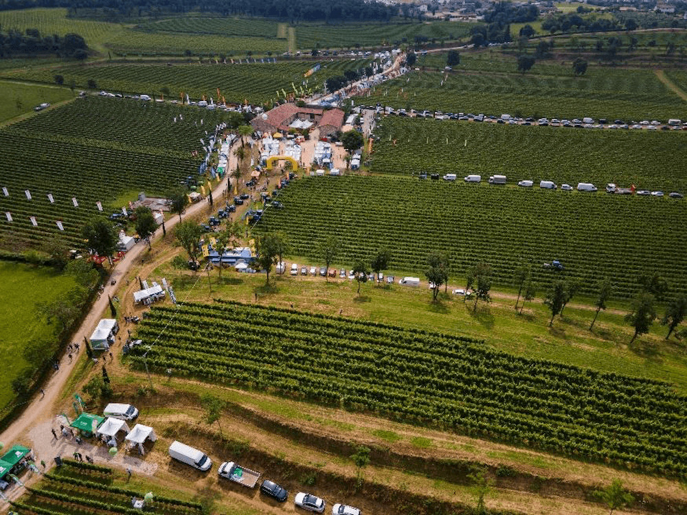 Vino, chiude con record espositori Enovitis in campo. Ora testimone alla viticoltura eroica con Enovitis Extreme