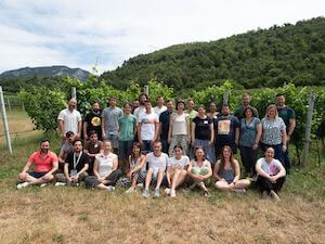 grapedia-group