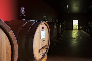 podere-casanova-botte