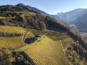 cantina-valle-isarco-tiso