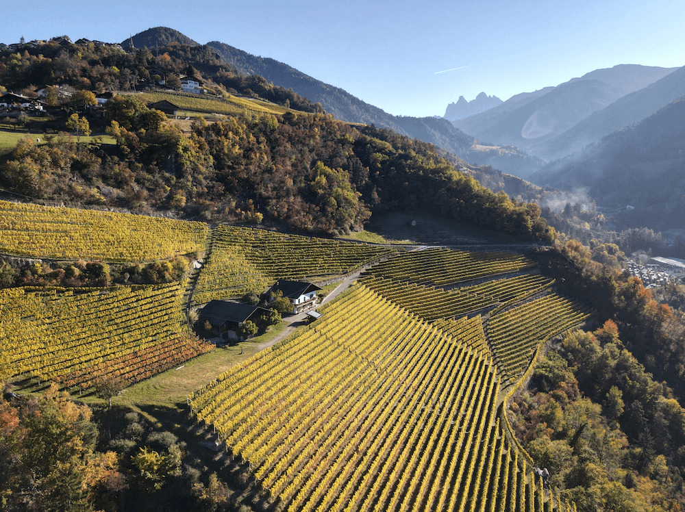 cantina-valle-isarco-tiso