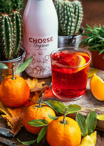 choose-by-ponte1948-negroni-closeup