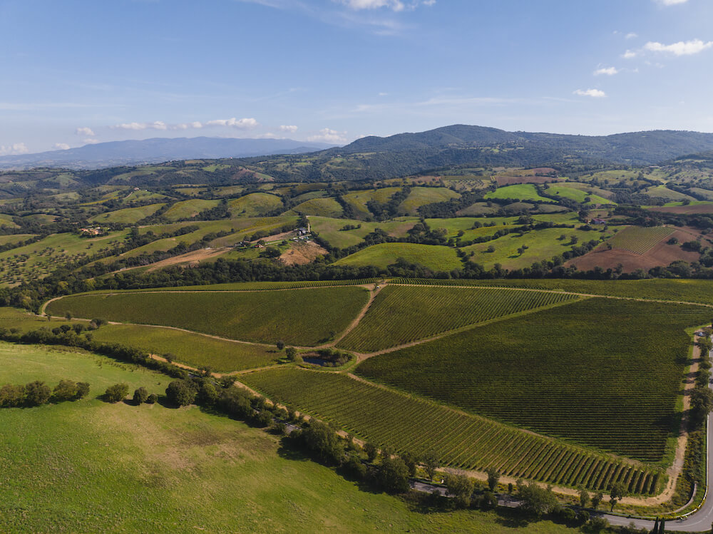 doc-maremma-toscana-vigne-zona-preselle-invaso