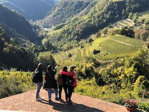 strada-vino-sapori-trentino