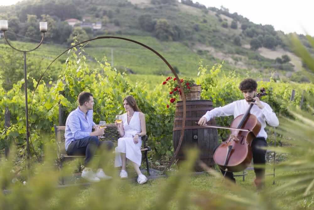 vineyard-music-festival