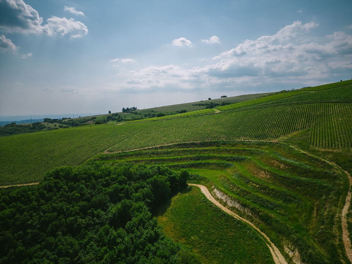 La Collina Dei Ciliegi