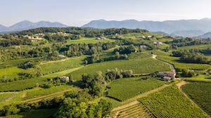 docg-home