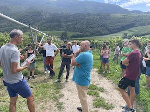 incontro-viticoltura-bio