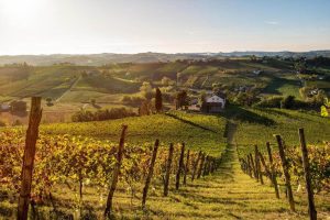 tenuta-la-guaragna